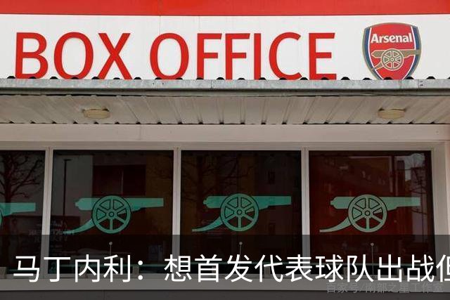 马丁内利：想首发代表球队出战但也不介意替补